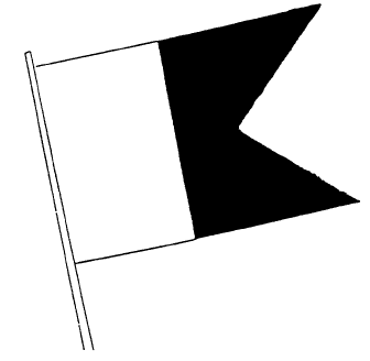 Image of International Code Flag A showing a flag that has a white rectangle with dark tails.